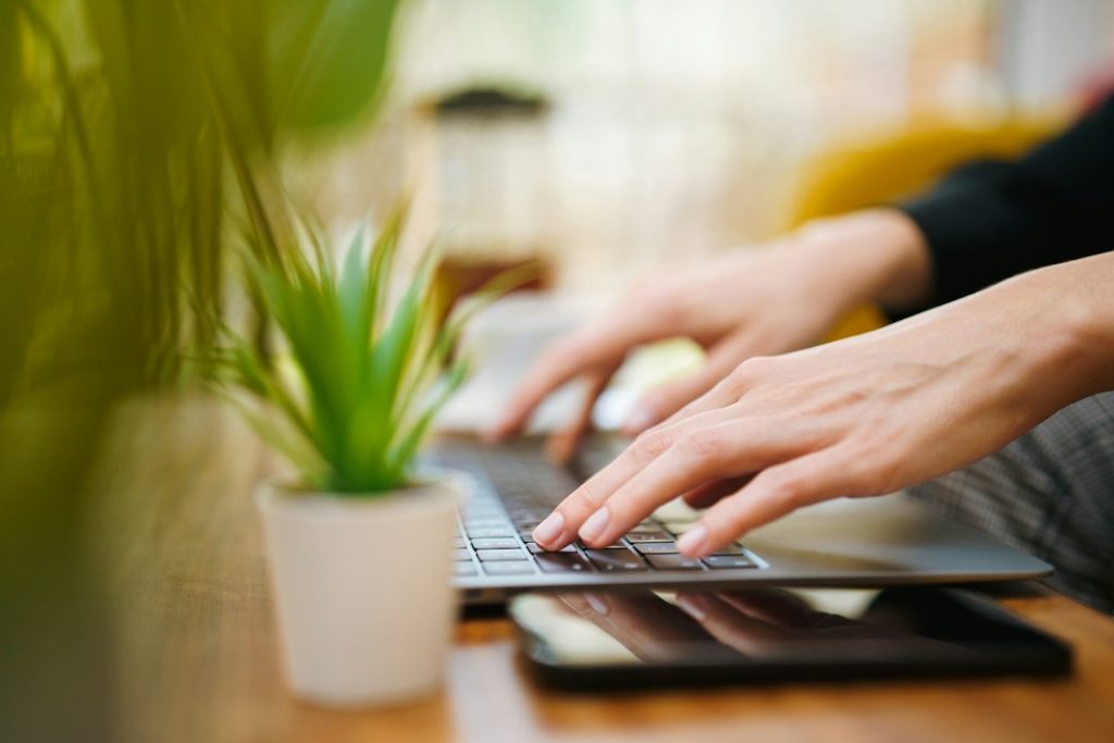 Close-up of a person's hands typing on a laptop keyboard at a wooden table, a small potted green plant in the foreground and a blurred bright room behind